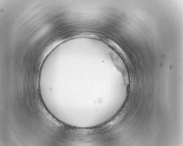 X0000088640860200706221544