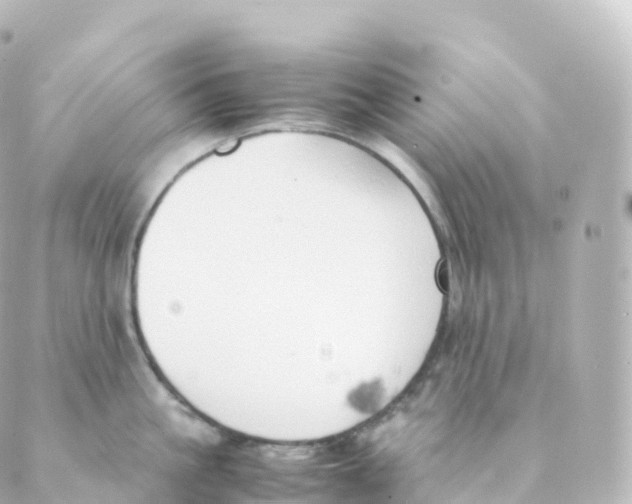 X0000088640861200706221544