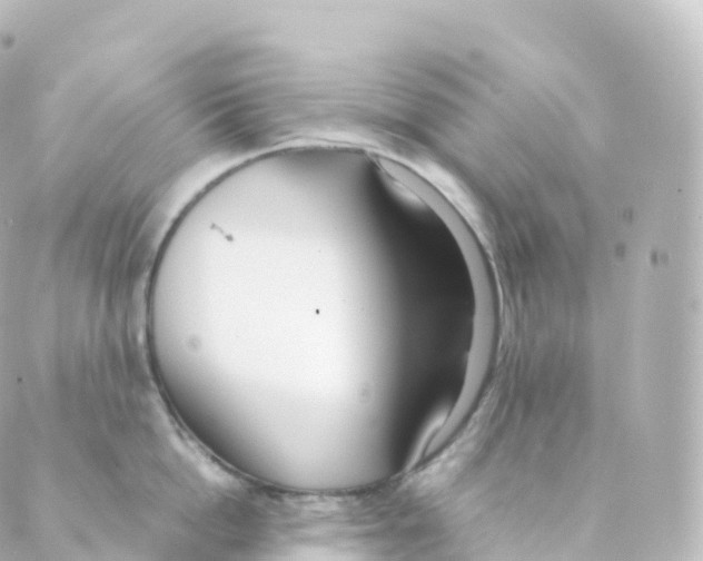 X0000088640862200706221544