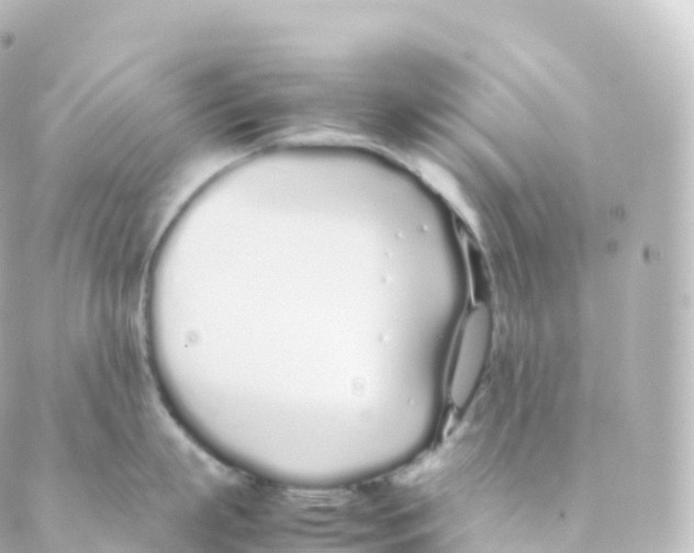 X0000088640863200706221544