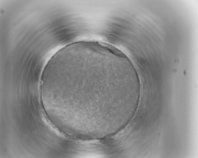 X0000088640864200706221544