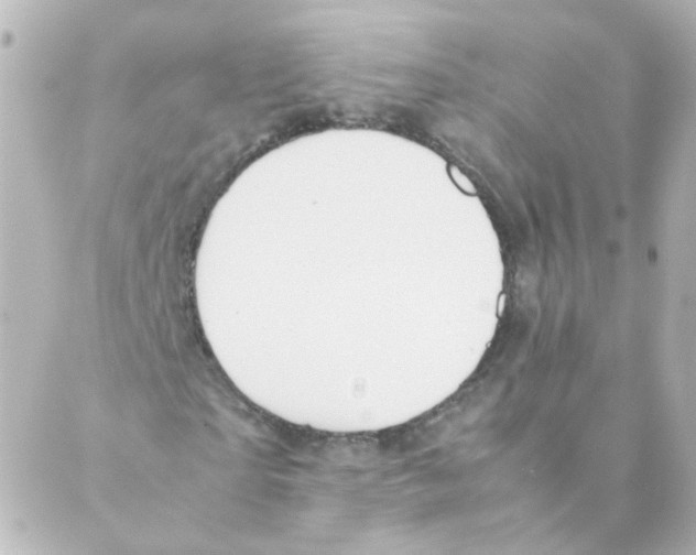 X0000088640865200706221543