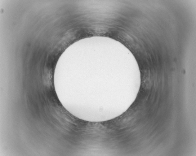 X0000088640866200706221543