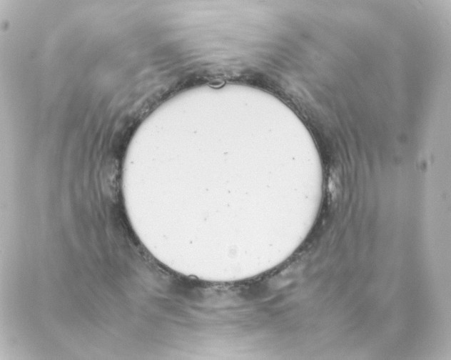 X0000088640867200706221543