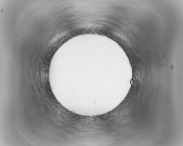 X0000088640869200706221543