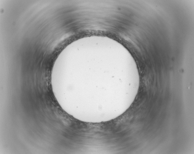 X0000088640870200706221543