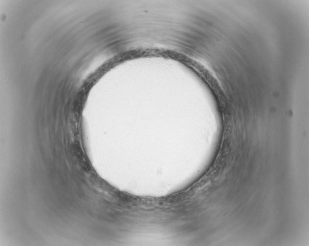 X0000088640871200706221543