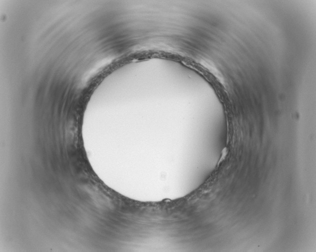 X0000088640872200706221543