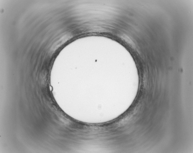 X0000088640873200706221543