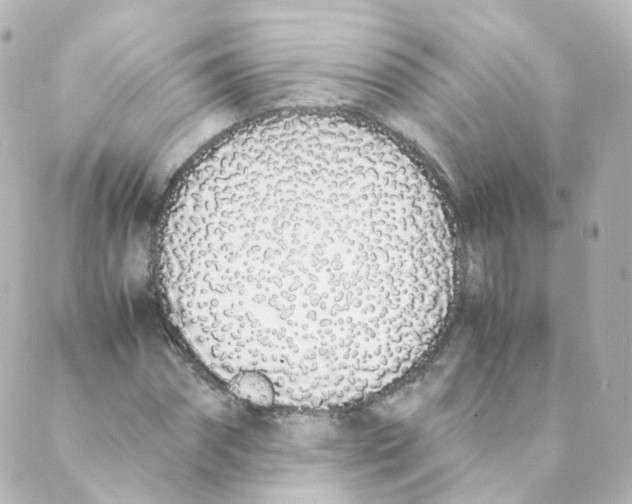 X0000088640874200706221543