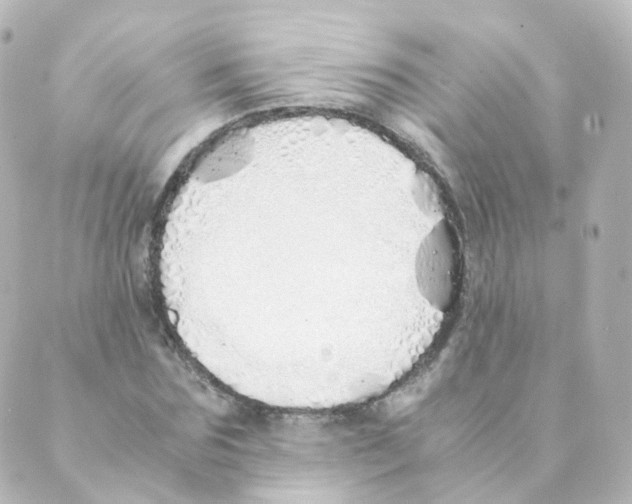 X0000088640875200706221543