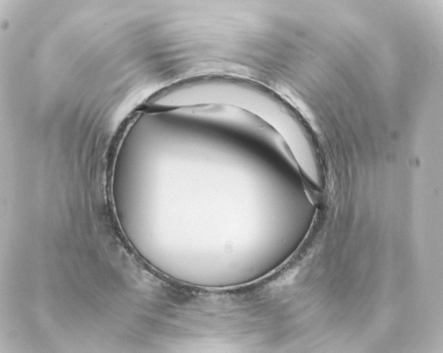 X0000088640877200706221543