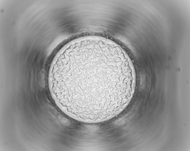 X0000088640878200706221543