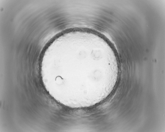 X0000088640879200706221543