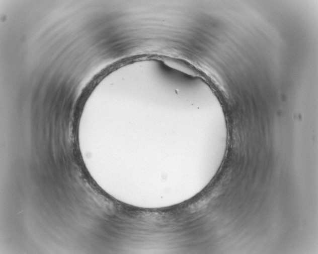 X0000088640880200706221543