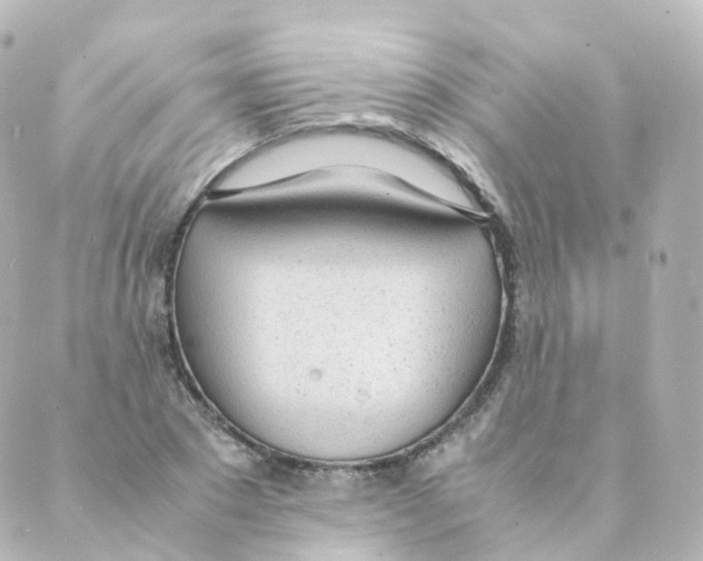 X0000088640881200706221543