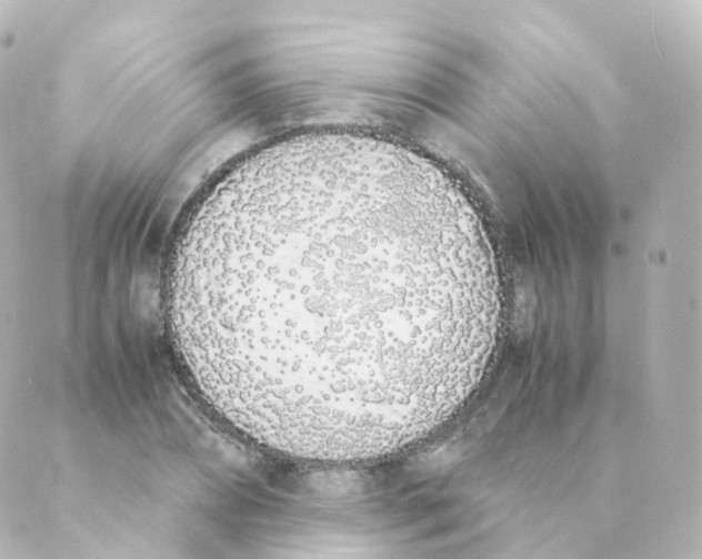 X0000088640882200706221543