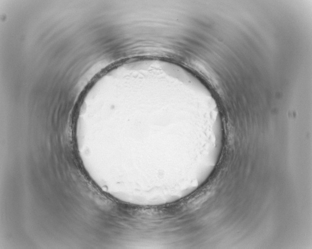 X0000088640883200706221543