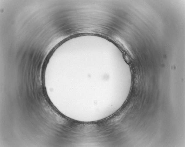 X0000088640884200706221543