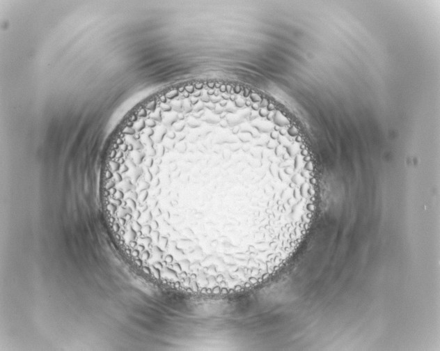 X0000088640886200706221543