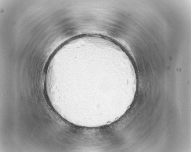 X0000088640887200706221543