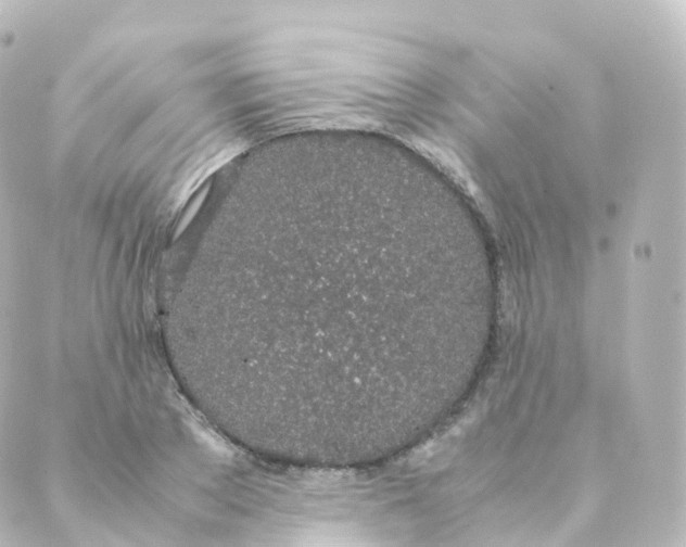 X0000088640889200706221543