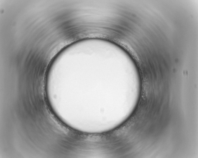 X0000088640890200706221543