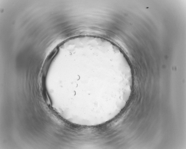 X0000088640891200706221543