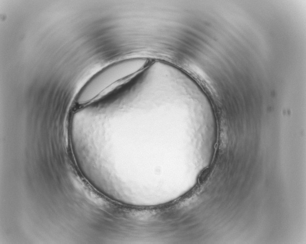 X0000088640892200706221543