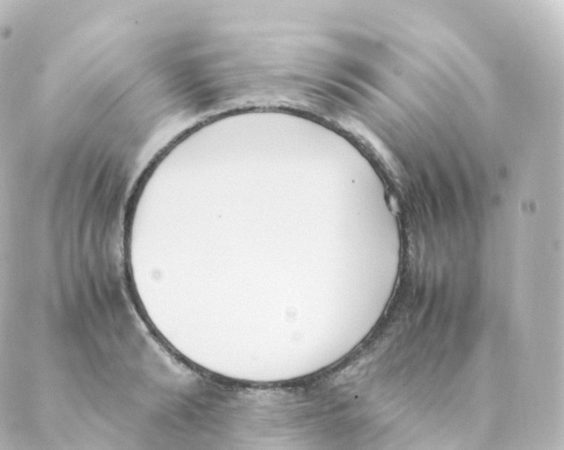 X0000088640894200706221543