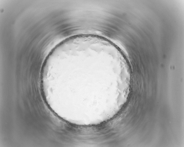 X0000088640895200706221543