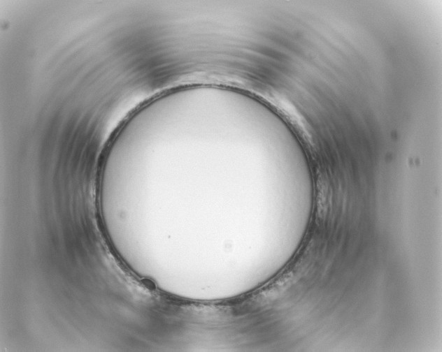 X0000088640896200706221543