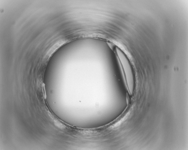 X0000088640897200706221543