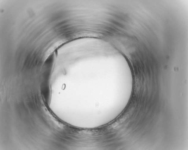 X0000088640898200706221543