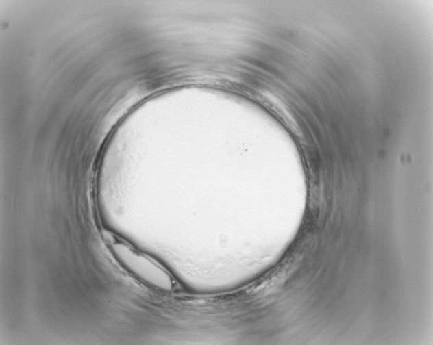 X0000088640899200706221543