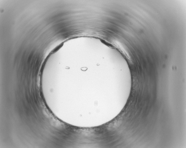 X0000088640900200706221543