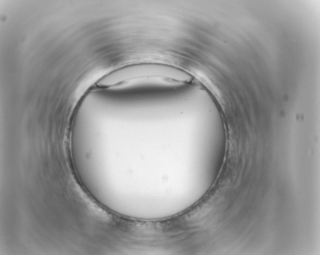 X0000088640901200706221543