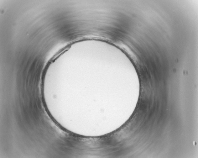 X0000088640902200706221543