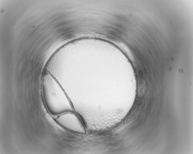 X0000088640903200706221543