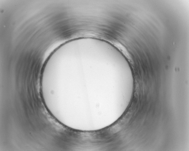 X0000088640904200706221543