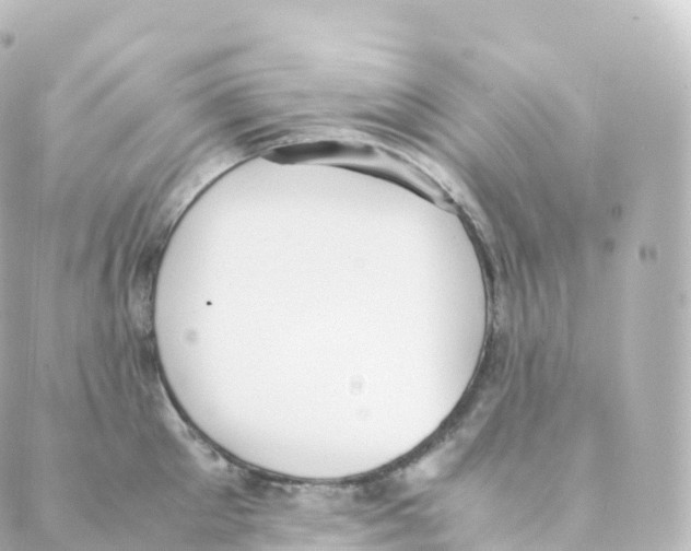 X0000088640905200706221542