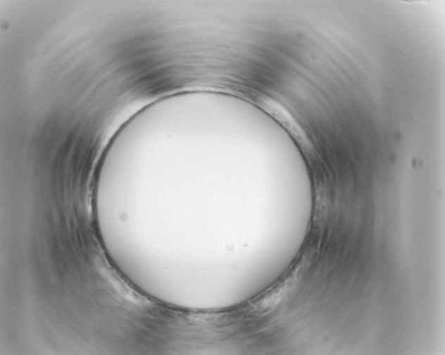 X0000088640908200706221542