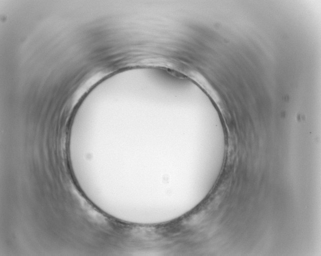 X0000088640909200706221542