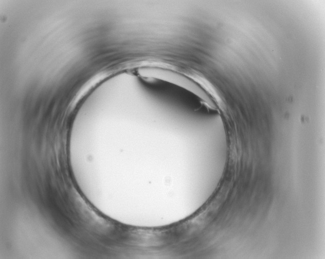 X0000088640910200706221542