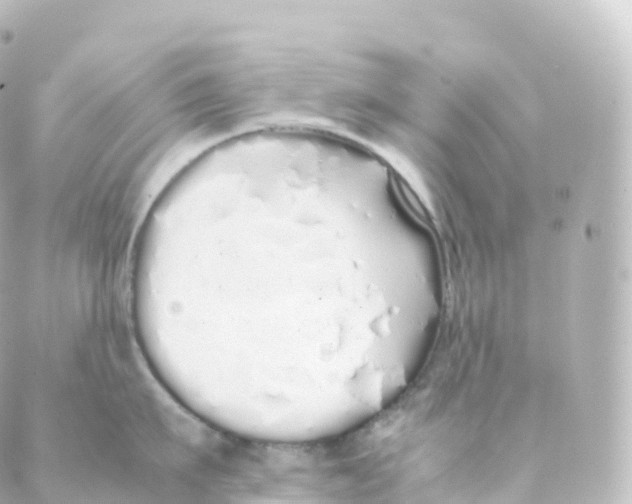 X0000088640911200706221542