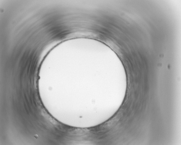 X0000088640912200706221542