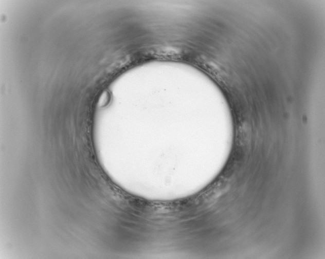 X0000088640913200706221542