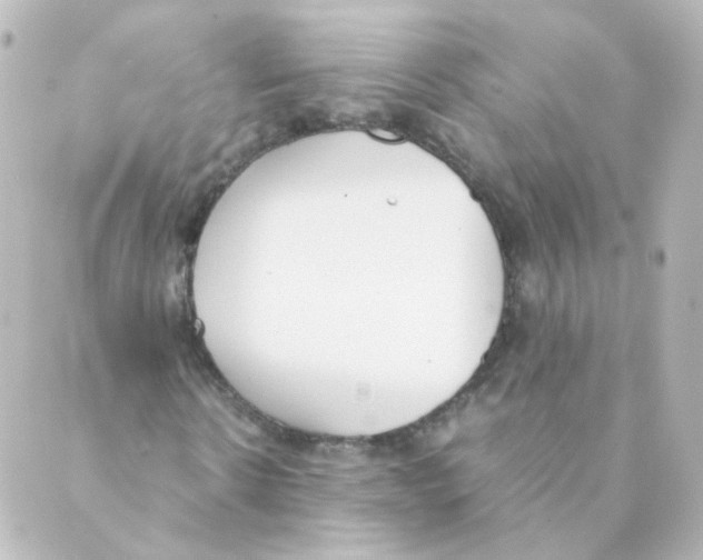 X0000088640914200706221542