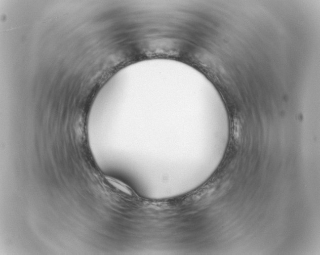 X0000088640915200706221542