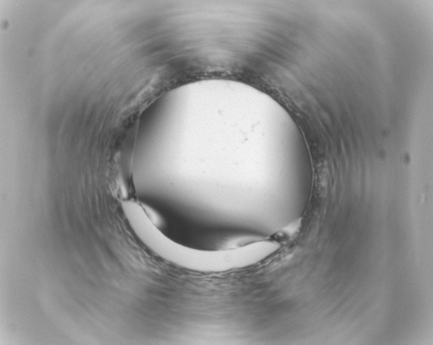 X0000088640916200706221542